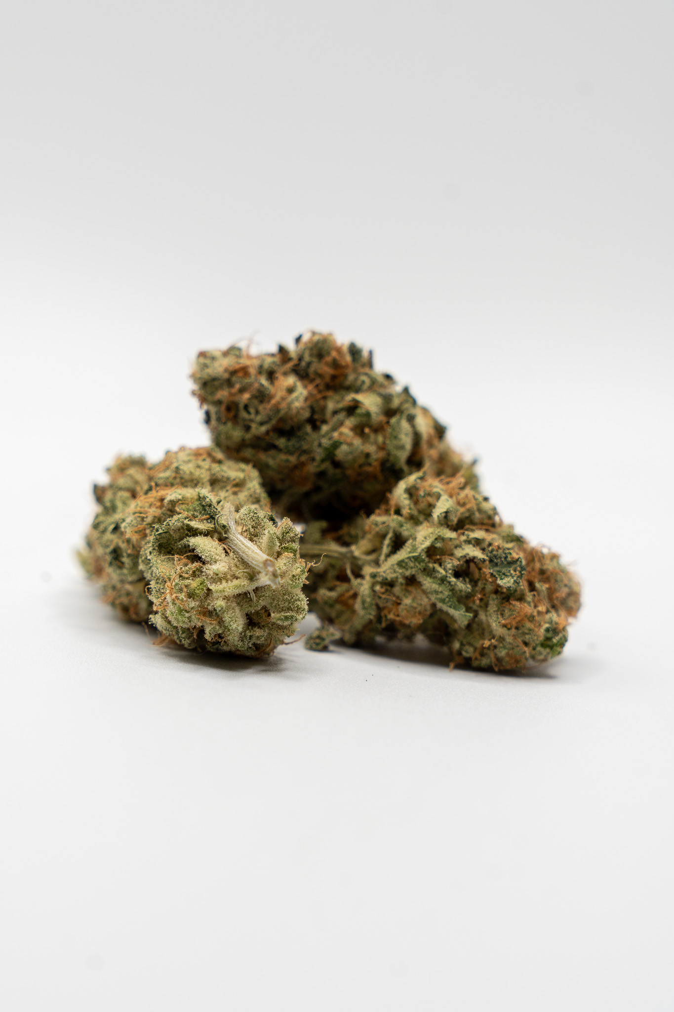 Buds